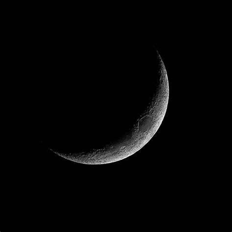 New Moon in Virgo Tarot Reading — Kajora Lovely