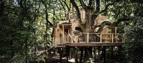 Baumraums Cliff Treehouse In New York
