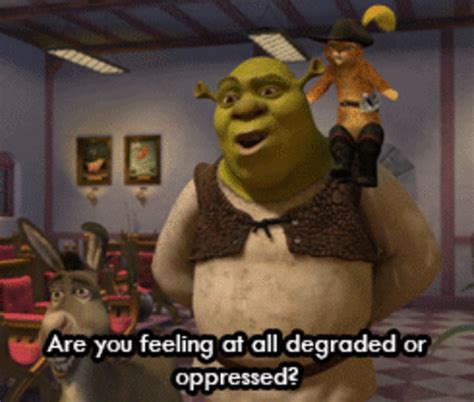 Tumblr In A Nutshell Shrek Know Your Meme