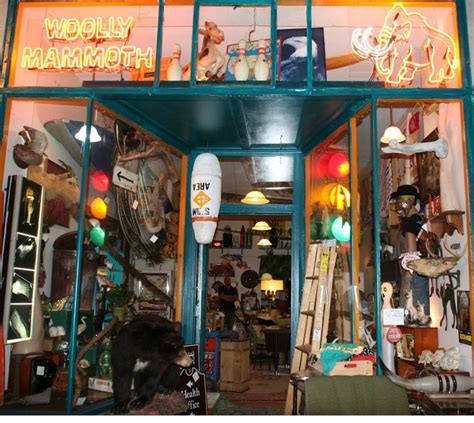 Woolly Mammoth Antiques And Oddities Shop In Chicago Il