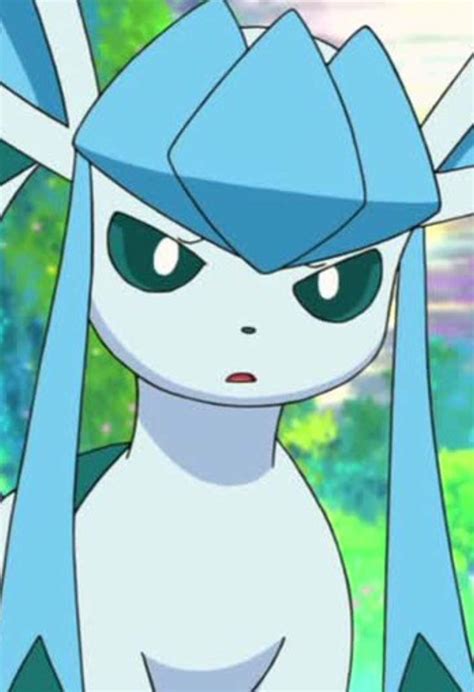 Glacier The Glaceon Wiki Pokémon Rpers Amino Amino