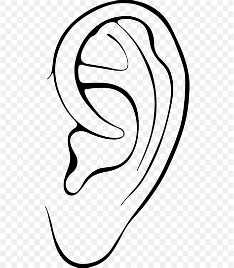 Ear Black And White Clipart