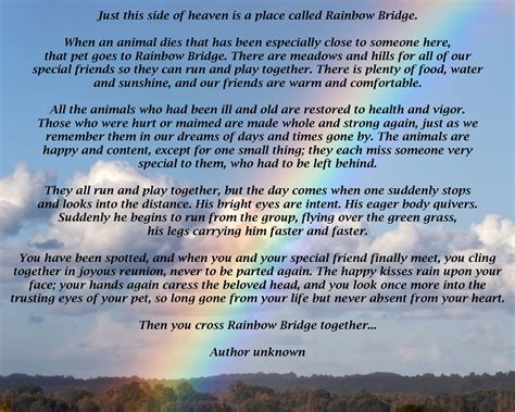 Rainbow bridge is a famous poem about what happens to pets after they die. A Forever Home Rescue Foundation | In Memory
