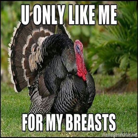 pin by kevin on turkey hunting funny turkey pictures funny thanksgiving memes funny turkey