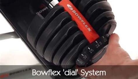 Powerblock Vs Bowflex Dumbbells Comparison For 2023 Revised Lafitness Reviews