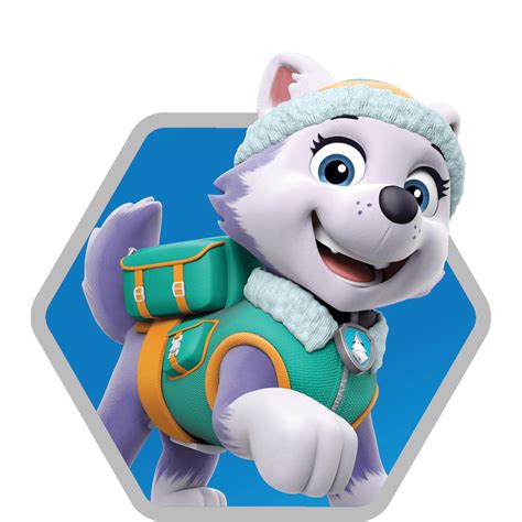 Everest Paw Patrol Wallpapers Top Free Everest Paw Patrol Backgrounds