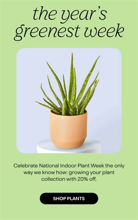 Happy National Indoor Plant Week Proflowers