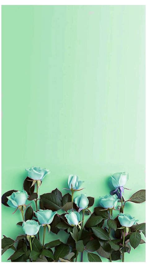 40 Mint Green Wallpaper Backgrounds For Iphone