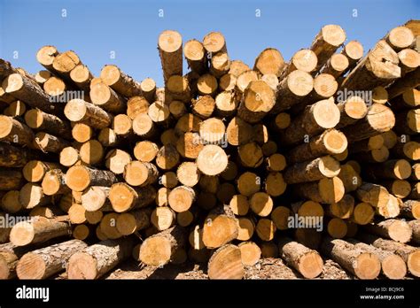Lumber Hi Res Stock Photography And Images Alamy