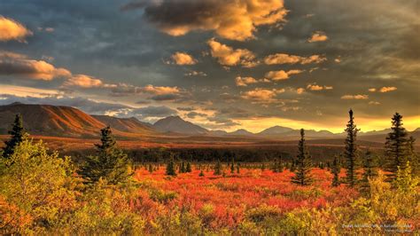Free Download Hd Wallpaper Denali National Park In Autumn Alaska