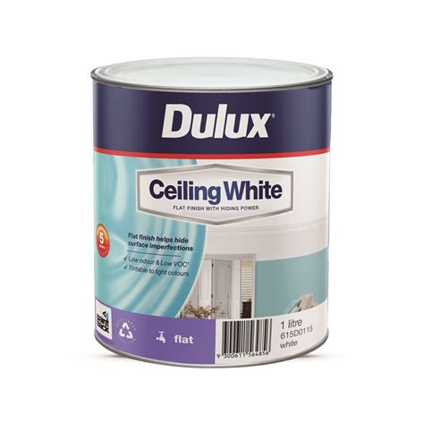 Mold resistant paint does not kill mold! Mould Resistant Ceiling Paint Bunnings | www ...