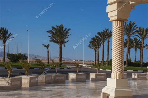 Beautiful Marble Column On A Background Of Palm Trees — Stock Photo