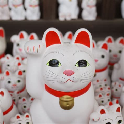 You May Be Aware Of Japans Famous Maneki Neko Or Beckoning Cat But