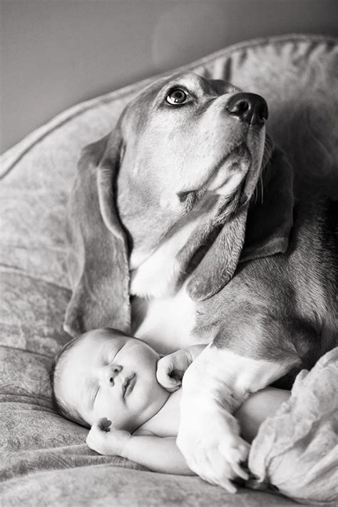 Puppies and babies have unsophisticated communication skills with their own species, and many puppies are afraid and will retreat if approached quickly. 40 Cute Pictures of Little kids with Their Big Dogs