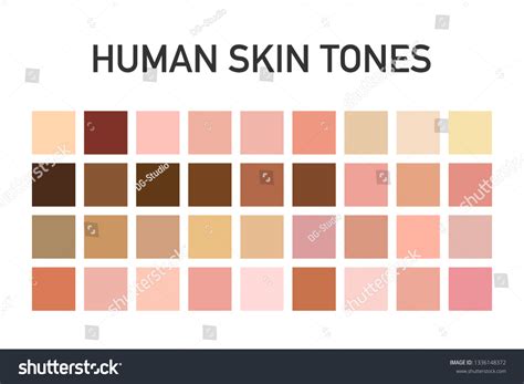 Human Skin Tone Color Palette Set Stock Vector Royalty Free