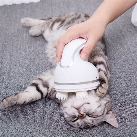 Electric Cat Massager Worth Buy Store