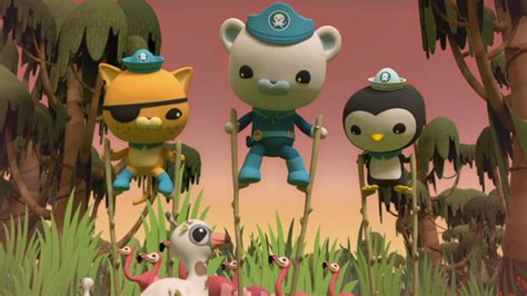 Octonauts Latest Episodes Abc Iview