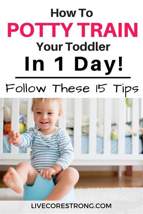 Potty Training How To Easily Potty Train Your Toddler In 1 Day Potty