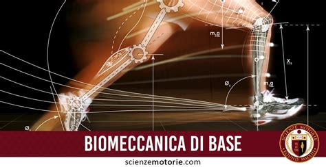 Biomeccanica Di Base Termini E Definizioni Scienze Motorie