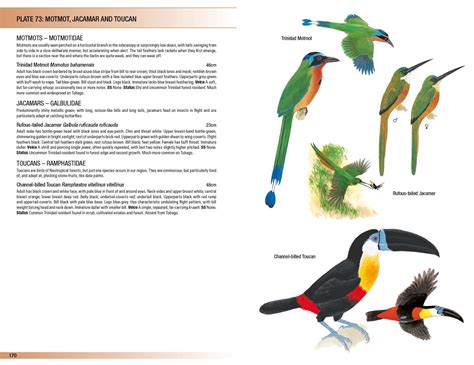 Birds Of Trinidad And Tobago Third Edition Helm Field Guides Martyn