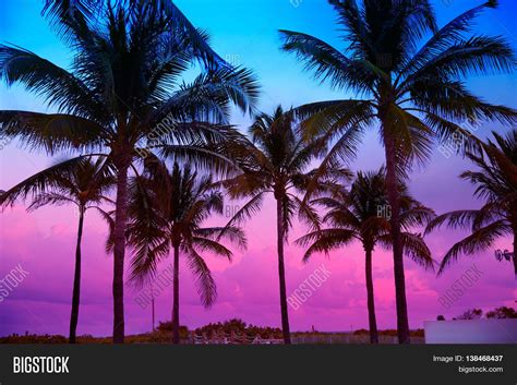 Miami Beach South Beach Sunset Palm Image And Photo Bigstock