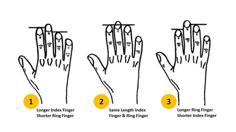 Personality Test Your Finger Length Reveals These Personality