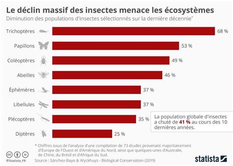 Insectes Quelles Sont Les Espèces Les Plus Menacées Insectes