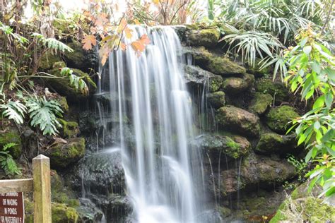 Breathtaking Waterfalls At Rainbow Springs State Park Ocala