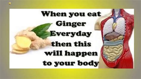 When You Eat Ginger Everyday This Is What Happens To Your Body Youtube