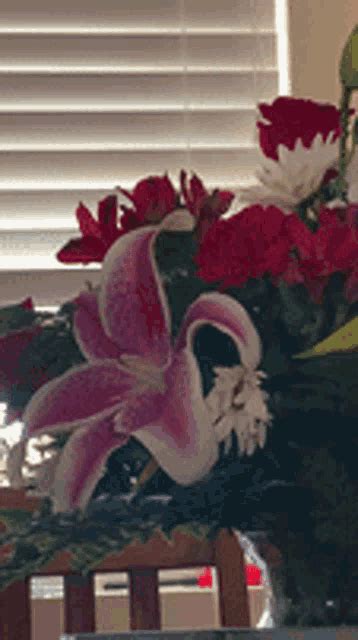 Meli Peeking Flowers Peek GIF Meli Peeking Flowers Peek Flower Lurk Discover Share GIFs