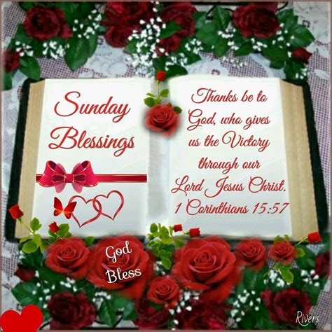 Sunday Blessings Good Morning Sunday Sunday Quotes Happy Sunday Blessed