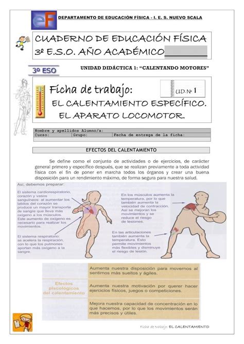 PDF Ficha De Trabajo Ficha De Trabajo EL CALENTAMIENTO EL