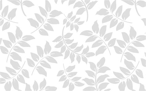 White Background Desktop Wallpaper 16569 Baltana