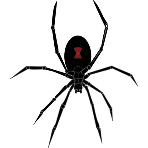 Transparent Black Widow Logo Clip Art Library