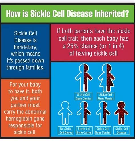 Sickle Cell Disease And Trait — Sickle Cell Foundation Of Minnesota