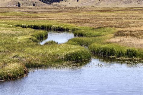 East Fork Jemez River Valles Caldera National Preserve Sandoval