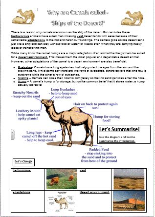 Why are camels known as ships of the desert? Why are camels called ships of the desert? Is a reading ...