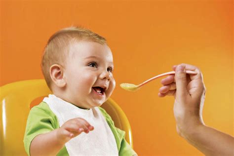 O Manual Da Alimentação Dos Bebês Saúde And Vitalidade