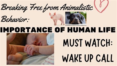 Ending The Animalistic Behavior Understanding The Importance Of Human