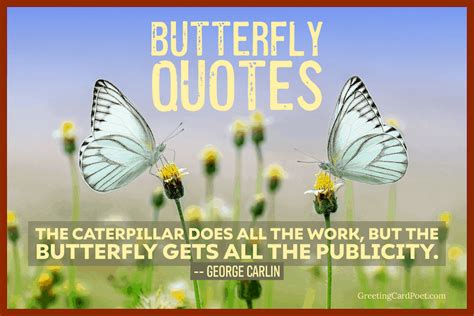 150 Butterfly Quotes Reflecting Their Grace And Beauty