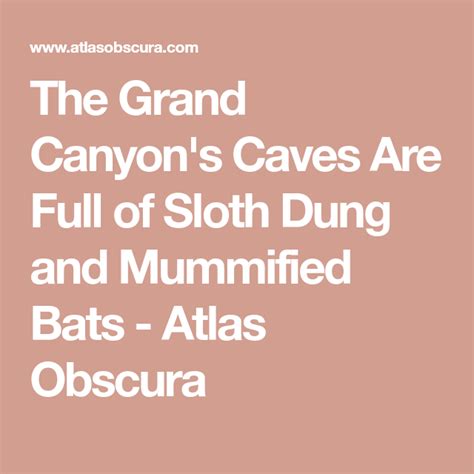 The Grand Canyons Caves Are Full Of Sloth Dung And Mummified Bats