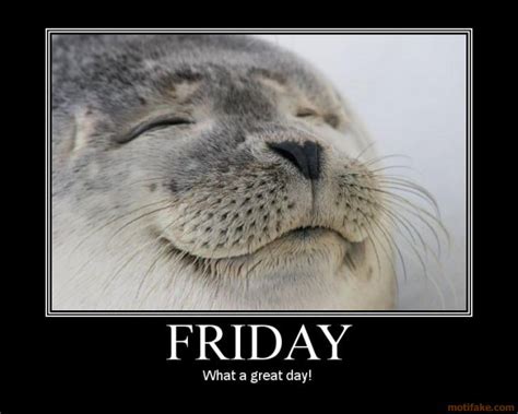 The definitive disco flick features live performances from donna summer and the commodores, a sizzling soundtrack and more platforms than you can shake your. Thank God Its Friday Funny Quotes To Post On Facebook ...