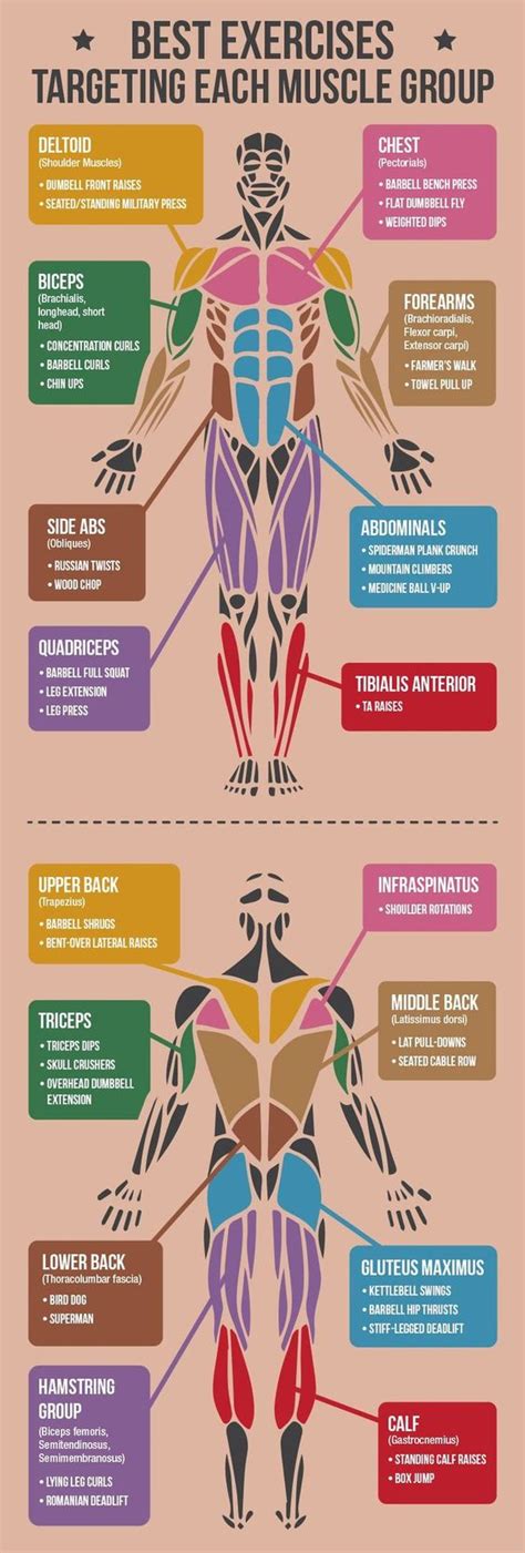 Top Health And Fitness Infographics 15 Examples To Inspire Your Own