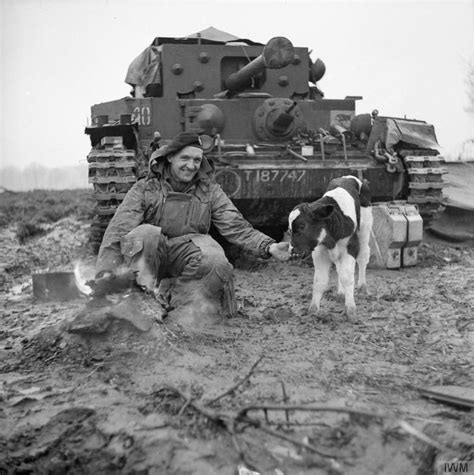 Tankman Cromwell 11 St Armoured Division 8 Mars 1945 Allemagne