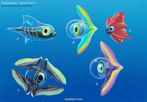 Four Different Types Of Fish In The Ocean