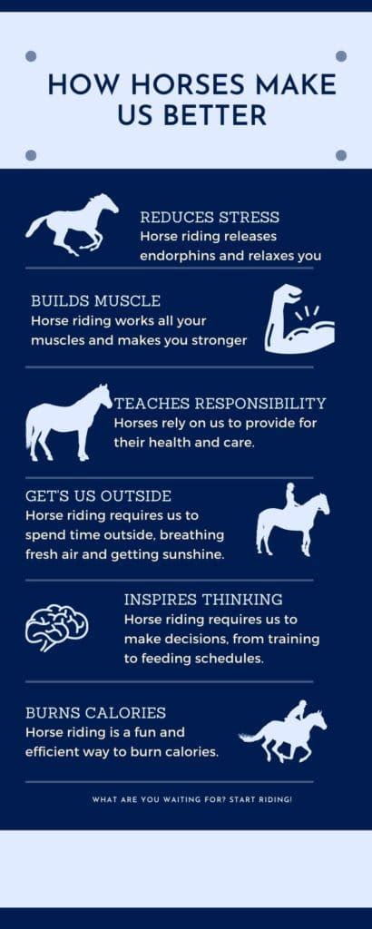 Is Horse Riding Good Exercise Horseback Riding And Health