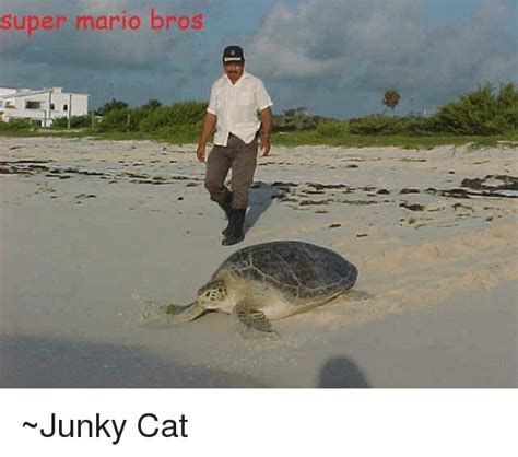 Super Mario Bros ~junky Cat Dank Meme On Sizzle