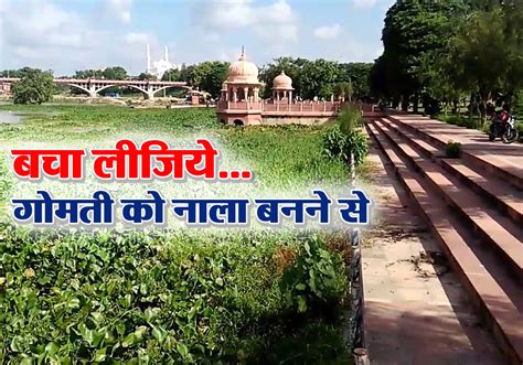 Gomti River Is More Polluted In Lucknow मुख्यमंत्री जी जांच होती रहेगी पहले जलकुंभी तो हटवा