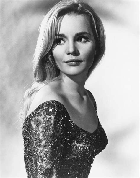 Tuesday Weld Tuesday Weld Hollywood Actresses