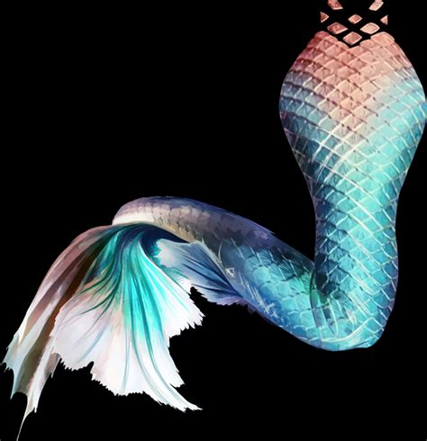 Download A Close Up Of A Mermaid Tail 100 Free Fastpng